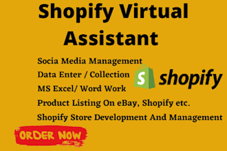 your ecommerce, VA shopify VA for product management, SEO and store updates