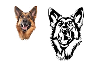 create a unique stencil, silhouette
