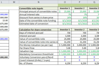 assist you in cap tables, start up and company valuation