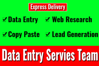 do excel data entry, copy paste, web research, data entry