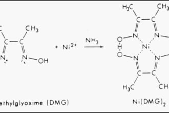 be your biology and online chemistry tutor