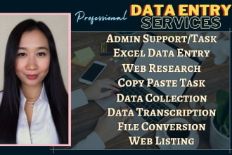 be your virtual assistant for data entry, web research and excel work