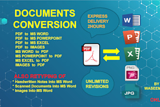 do all ms word conversions in low price