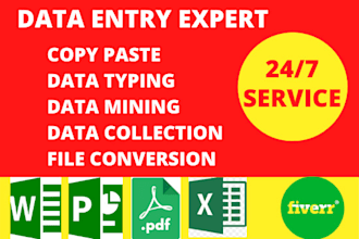 professionally do excel data entry and typing work
