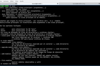 do a game with java