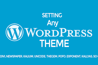 setup and customize any wordpress premium theme like demo