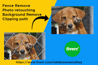 do professional background remove also photo retouching and fence remove