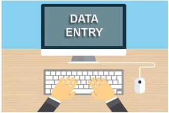 be your data entry assistant for any type of entry work