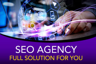 provide full SEO service for your website