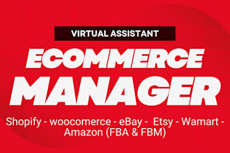 virtual assistant upload products data entry manage ecommerce website or store