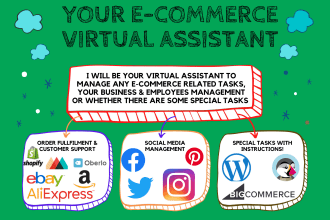 be your ecommerce virtual assistant