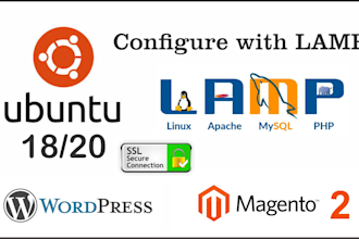 setup lamp server ubunto with wordpress or magento SSL
