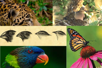 assist you in ecology and environmental biology research