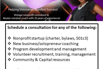 provide consulting to nonprofit and business startups