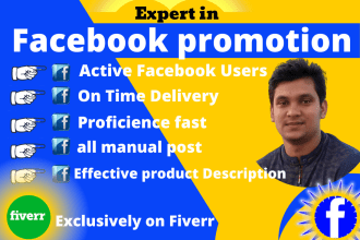 do organic facebook promotion for your business to bring the USA traffic
