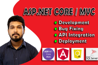 develop asp dot net mvc or dot net core application and api
