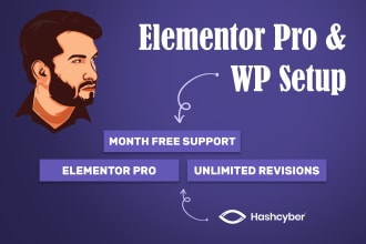 install elementor pro and setup wordpress website