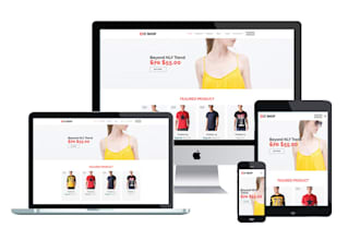 set up a shopify store