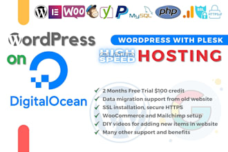 install or transfer wordpress