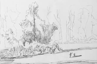 illustrate your story or advertisement with traditional ink illustrations