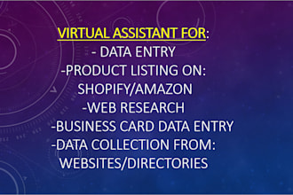 provide virtual assistant services