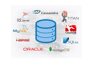 write sql scripts , sql queries