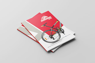 do user manual and brochure design for your product