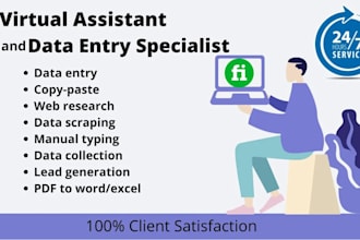do virtual assistant, PDF converter, excel data entry, typing, data collection