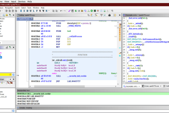 reverse engineer malware, binary and any other file you want