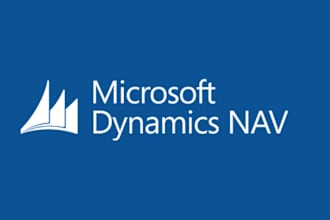 help you with microsoft dynamics navision
