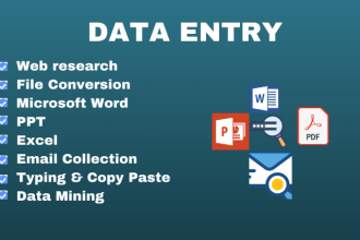 do data entry, file conversion, ppt, web research, copy paste