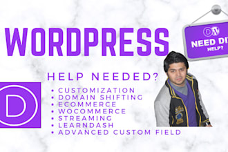 design and develop your wordpress website