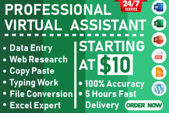 be your virtual assistant for data entry, typing, copy paste