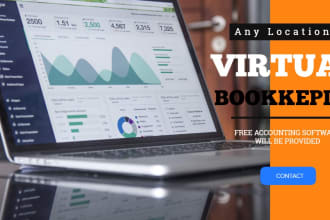 provide online, remote, and virtual bookkeeping services