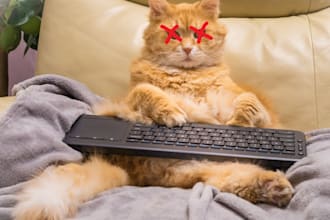 write humorous and funny content