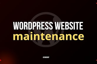 maintain, update, and fix bugs on your wordpress website
