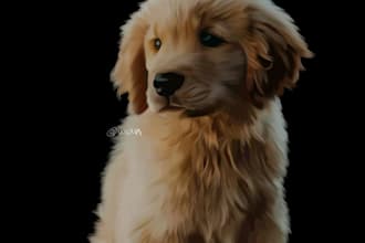 draw your pet into digital painting or vector art