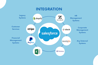 integrate any system with salesforce
