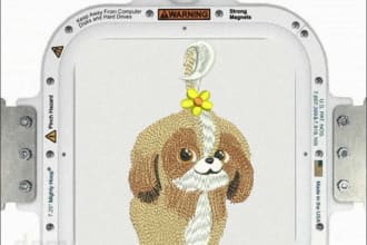 embroidery digitizing pet or vector logo into dst pes hus