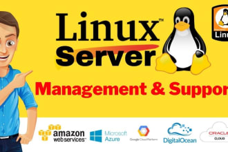 fix, setup linux server, vps, AWS, email server, any issues