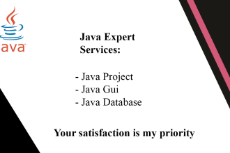 your java developer for assignments, gui and database