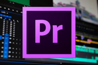 help you learn premiere pro