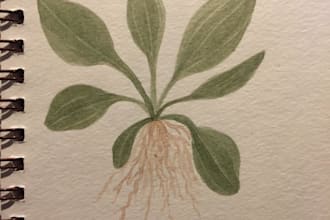 design a custom tea blend