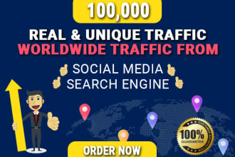 send niche related, website organic visitors