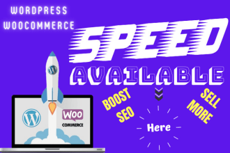 do wordpress woocommerce speed optimization to get a hypersonic speed boost