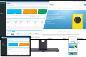 develop and do any customization your nopcommerce project