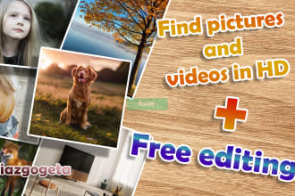 find any pictures, videos in HD also free editing