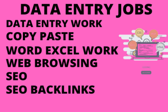 data entry data entry typing copy paste wordpress seo emails listing excel word