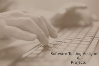 do software testing project