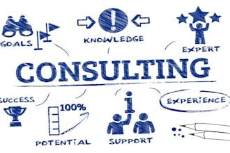 be your business and software startup consultant